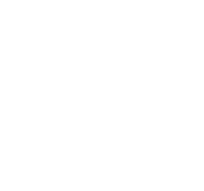 Pertamina logo white transparent